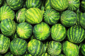 Fototapeta premium watermelons on market