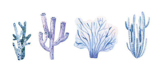 Marine plants and aquatic algae. Watercolor Algae set illustrations isolated on white backgroud. Undersea flora, nautical plants, botanical illustration © Ilona
