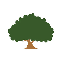 oak tree icon