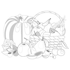 Fruits, berries, big pumpkin and wicker basket. Coloring book page. Vector illustration.