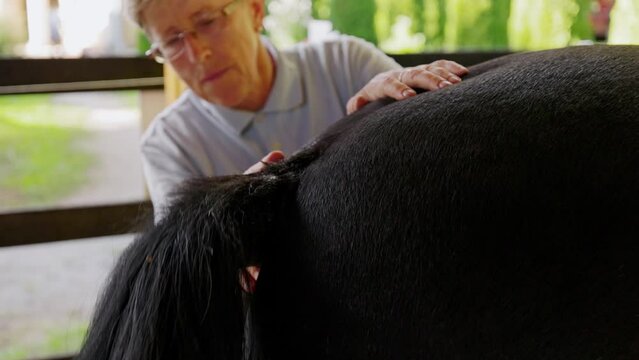 Senior woman applying vaseline around horses tail to prevent any skin rashes from happening 