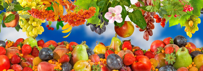 Colorful  fruits vegan food