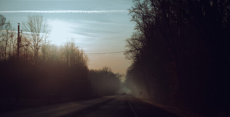 morning mist in the forest