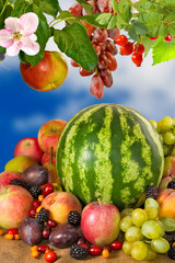 Colorful  fruits vegan food