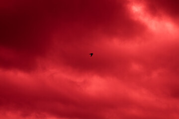 Fiery red sky. Blood clouds. Horror. Background, banner. Horror, explosion, disaster.