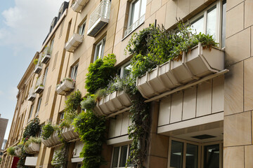 Fototapeta na wymiar Exterior of beautiful modern residential building with plants in city