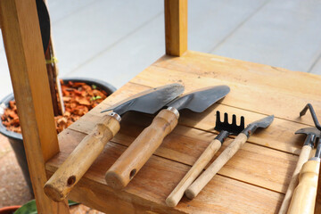 Fototapeta na wymiar Gardening tools on wooden table in greenhouse.