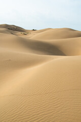 Fototapeta na wymiar Sand dunes in the Kyzylkum desert Kazakhstan