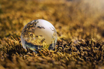 globe glass on grass with sunshine. environment concept