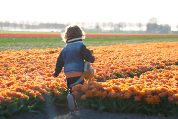 Fototapeta premium Happy child is running in red tulip field.