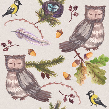  Eule Aquarell Bilder – Durchsuchen 1,062 Archivfotos, Vektorgrafiken Motiv 