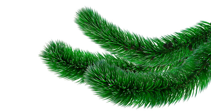 Tannenstamm Bilder Durchsuchen 69,289 Archivfotos, und