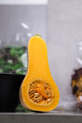 Butternut squash sliced in half on white background, front view shot of a butternut squash that has been cut in half with all de details