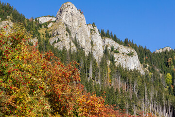 Belianske Tatras in autumn. Slovakia.