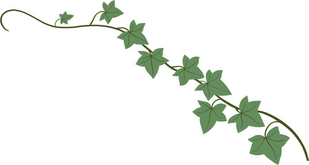 Simplicity ivy freehand drawing flat design.