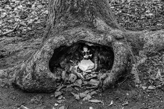 Little angel with a guitar inside a hole of a tree in the middle of the forest (b/w)