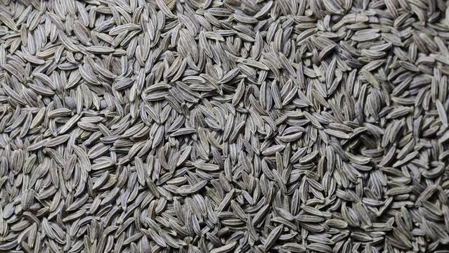 dry natural cumin grains rotate in a circle. view from above