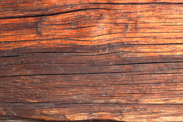 Wooden log for background