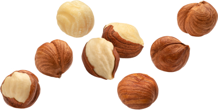 Falling hazelnuts isolated 