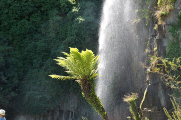 Jardin Extraordinaire, a garden in Nantes