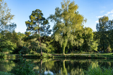 Little lake with clear water and reflections in the water