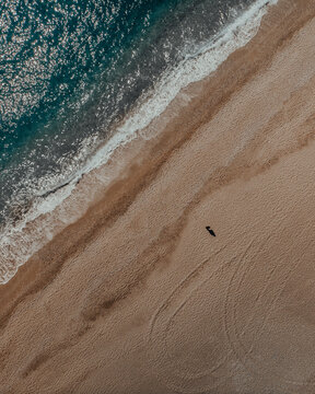 Beach Lines