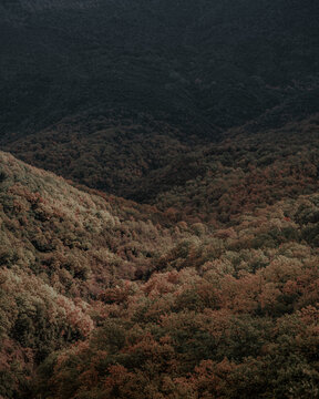 Autumn View