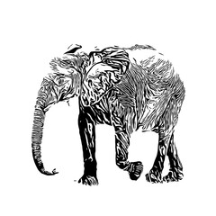 Black and white sketch of an elephant on a transparent background