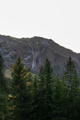 Fototapeta premium Massive mountain chain, forest and meadows of the German Alps