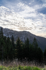 Obraz premium Massive mountain chain, forest and meadows of the German Alps