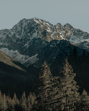 Snow covered mountain