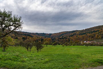 Hills and meadows near by the colorful forest