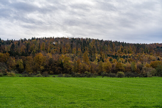 Hills and meadows near by the colorful forest