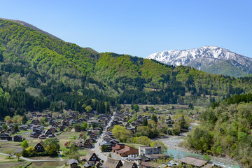 城山天守閣展望台から見た白川郷の合掌造りの集落
