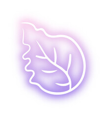 Obraz premium Collection of nature neon