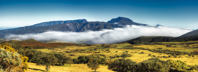 Vue sur le Piton des Neiges depuis la plaine des Cafres, La Réunion. - 562458321