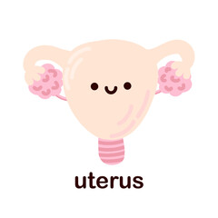 Kawaii uterus. Cute kawaii human internal organs. Cheerful children's drawings in a flat style, hand drawn, human anatomy.