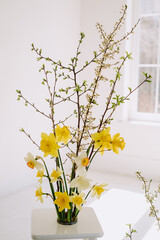 Crocus Flowers and Tree Branch on Chair Furniture Photo. Room Ornamented Aromatic Blooming Fresh Bouquet and Green Leaves Plant. Love Holiday Event Celebrating Present or Decoration