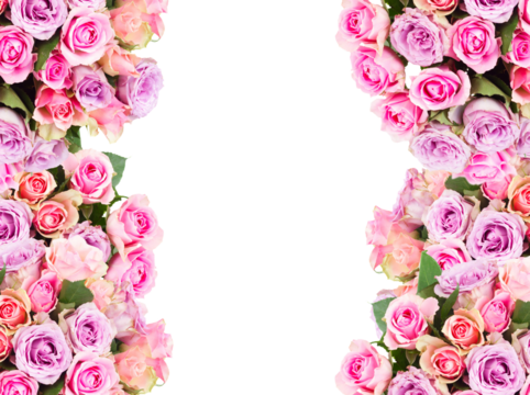 bouquet of fresh roses