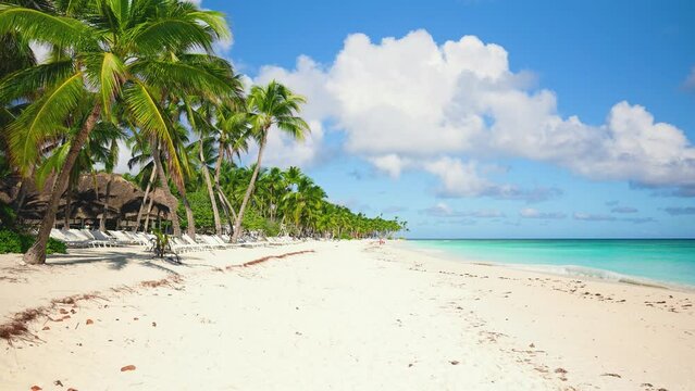 Tranquil beach scene for inspirational travel, concept of summer holiday and tourism vacation. Palms on the sea coast. Luxurious place to stay. Exotic beach scenery. Journey to a tropical paradise.
