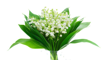 Lilly of valley