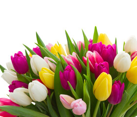 bouquet of  pink, purple and white  tulips