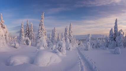 Fototapeta na wymiar Winter landscapes on the Main Ural Ridge, Russia January