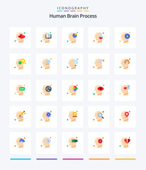 Creative Human Brain Process 25 Flat icon pack  Such As mind. human. human. head. head