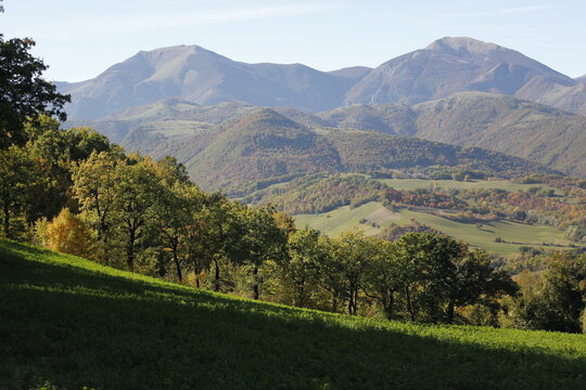 monte catria e monte acuto estate
