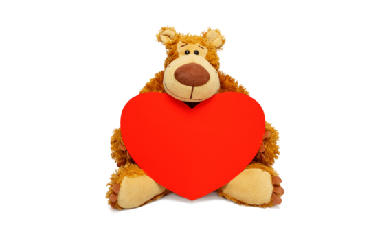 Teddy bear holding a cardboard heart, for Valentine's day. Front view, copy space.
