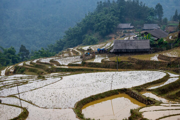 A rice farm in Sapa with flooded terraces
