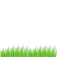 Obraz premium Grass Background