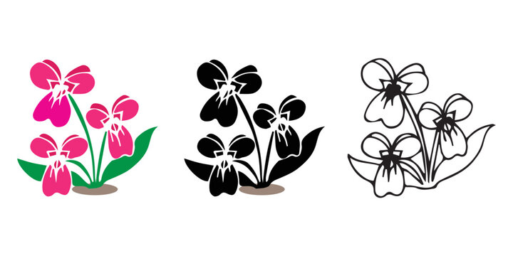 Violets hand drawn  illustration. Vector pink and black and outline work botanical drawing of flowers