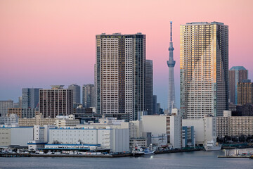 Fototapeta na wymiar Tokyo skyline during sunset with the Skytree tower in the background